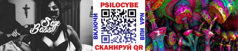 Псилоцибиновые грибы Psilocybine cubensis купить сайты Апрелевка