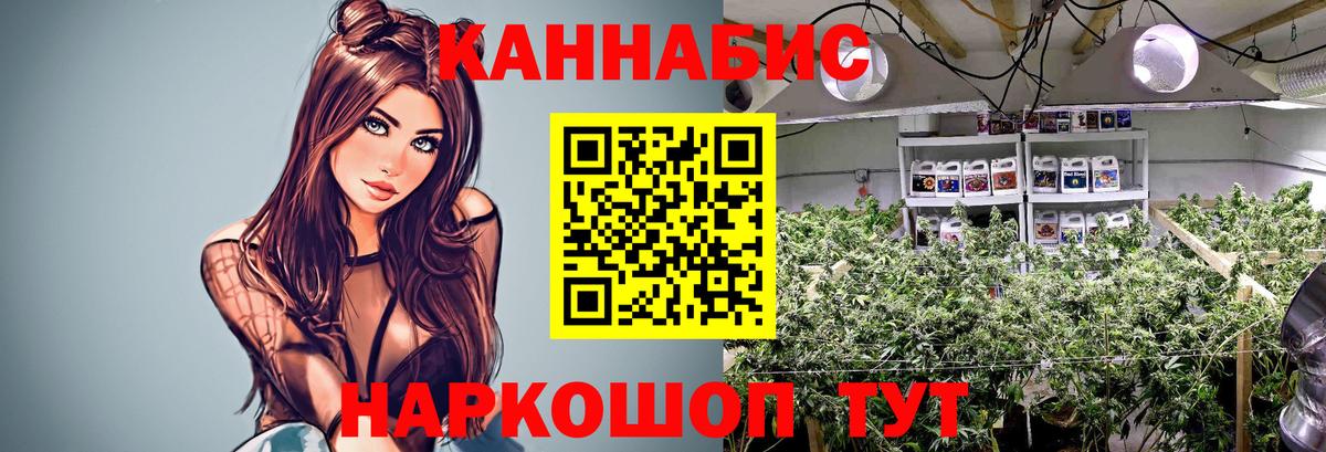 Каннабис MAZAR Апрелевка